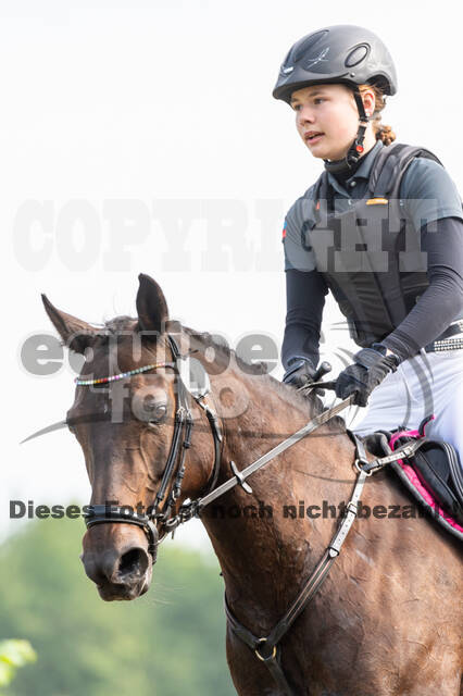 Goldene Schärpe 2021 - Ponys