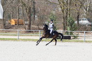 Eventing Langenfeld 2018