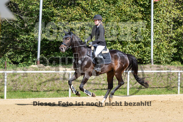 RFV Dinslaken-Hiesfeld (Herbstturnier)