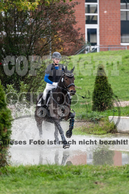 Goldene Schärpe 2020 - Pferde