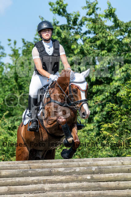 Goldene Schärpe 2021 - Ponys