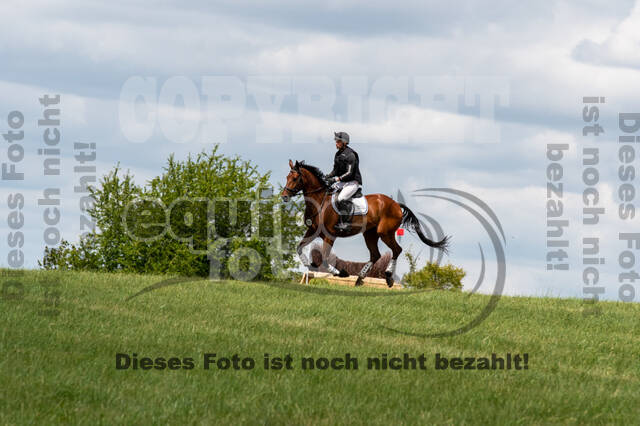 Bonn-Rodderberg Late-Entry-Vielseitigkeit (30.06.2020)