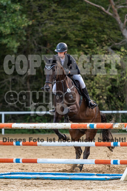 RFV Dinslaken-Hiesfeld (Herbstturnier)