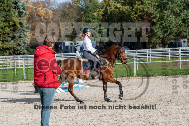 IGV Lehrgang der Sieger der Cups mit Frank Ostholt