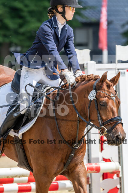Goldene Schärpe 2021 - Ponys