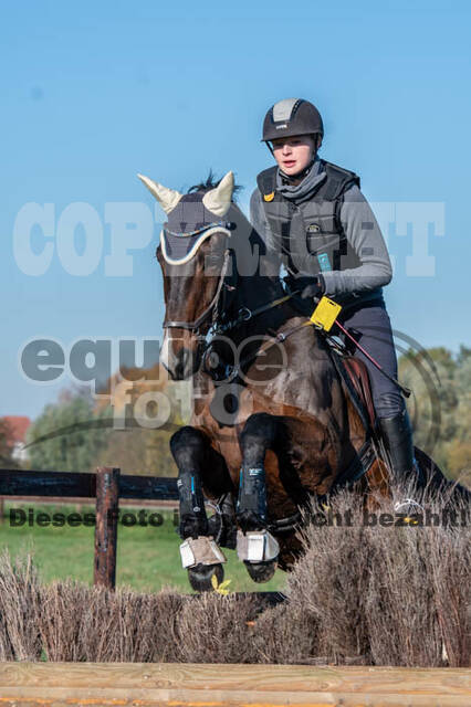 Vielseitigkeitslehrgang mit Jürg Kurbel (9.+10.11.2019)