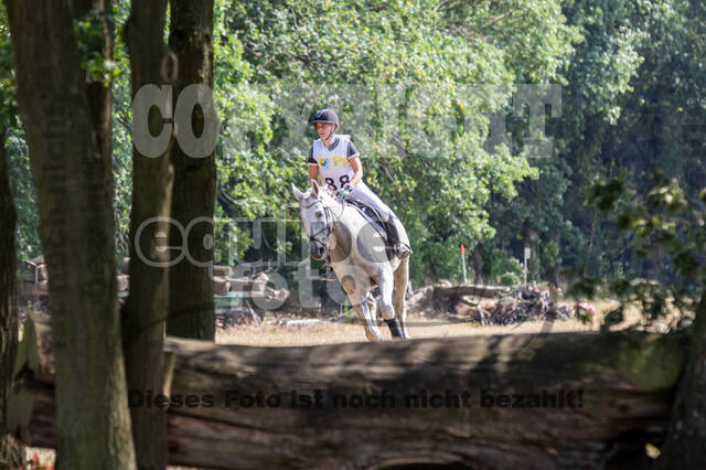 Late-Entry Vielseitigkeit Hamminkeln/Wesel (01.+02.08.2020)