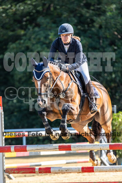 RFV Dinslaken-Hiesfeld (Herbstturnier)