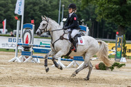 Goldene Schärpe 2021 - Ponys