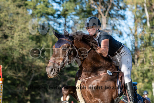 RFV Dinslaken-Hiesfeld (Herbstturnier)