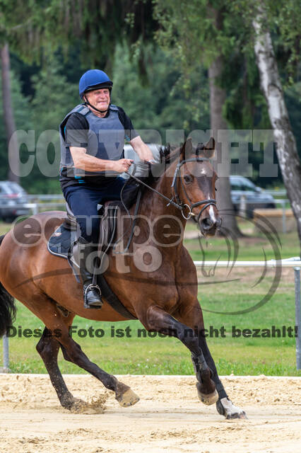 Hunter Geländetraining 10.07.2021 (Sonsbeck)