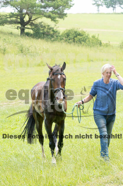 DJM Vielseitigkeit 2019, Kreuth