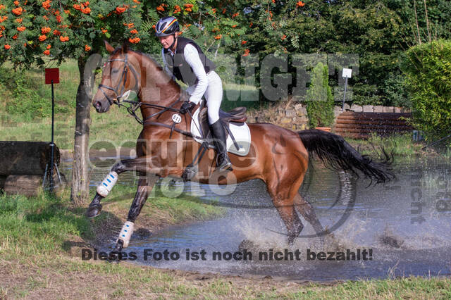 Late-Entry-Vielseitigkeit Gahlen (18.07.2020)