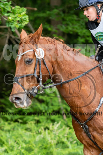 Westerstede Horse Trials 2021