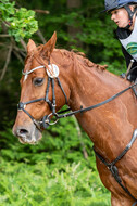 Westerstede Horse Trials 2021