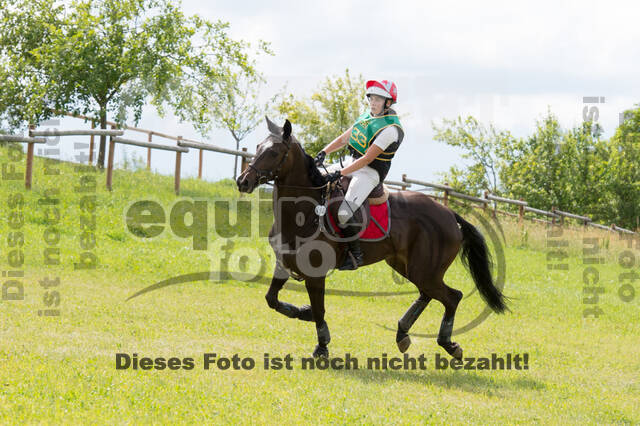 DJM Vielseitigkeit 2019, Kreuth
