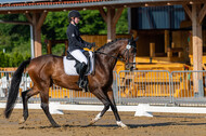 Westerstede Horse Trials 2021