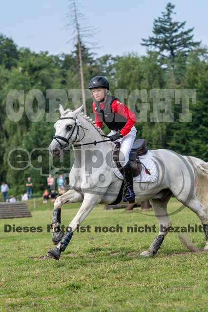 Goldene Schärpe 2021 - Ponys