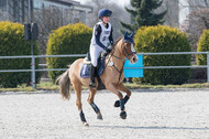 Eventing Langenfeld 2018