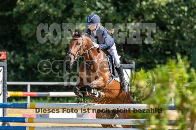 RFV Dinslaken-Hiesfeld (Herbstturnier)