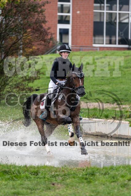 Goldene Schärpe 2020 - Pferde