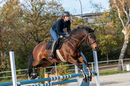 IGV Lehrgang der Sieger der Cups mit Frank Ostholt