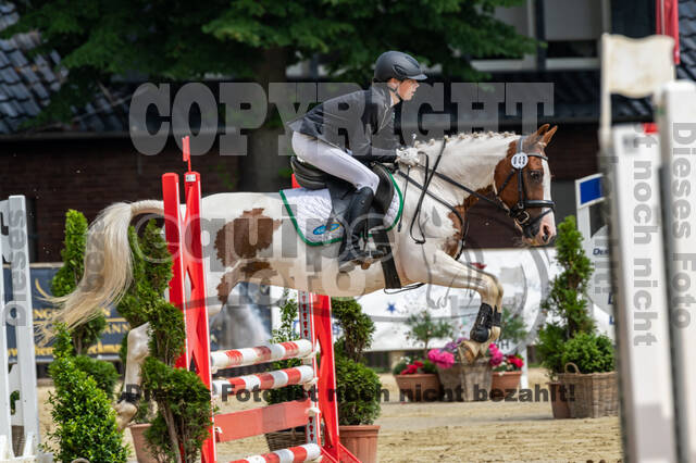 Goldene Schärpe 2021 - Ponys