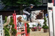 Goldene Schärpe 2021 - Ponys