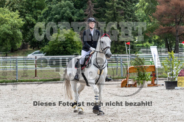 Late-Entry-Vielseitigkeit Langenfeld (06.+07.07.2020)