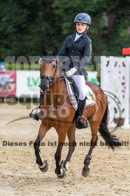 Goldene Schärpe 2021 - Ponys