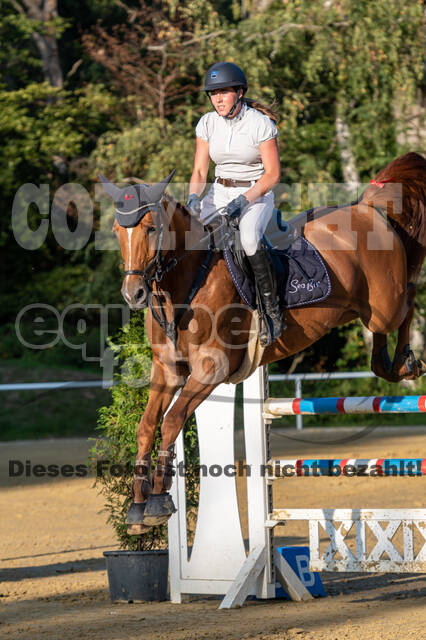 RFV Dinslaken-Hiesfeld (Herbstturnier)