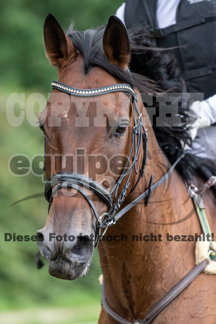 Late-Entry-Vielseitigkeit Langenfeld (06.+07.07.2020)