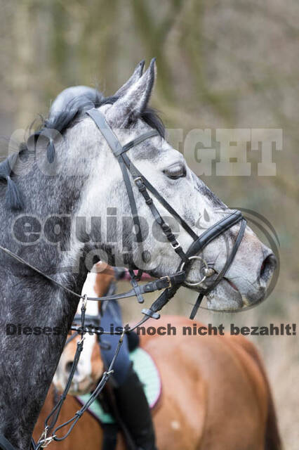 Geländetraining RSV St. Hubertus Wesel Obrighoven (10.+11.03.2018)