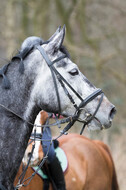 Geländetraining RSV St. Hubertus Wesel Obrighoven (10.+11.03.2018)