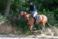 Late-Entry-Vielseitigkeit Langenfeld (11.+13./14.06.2020)