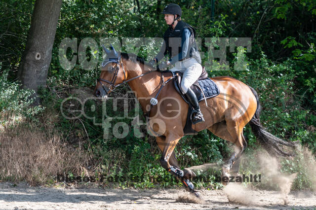 Late-Entry-Vielseitigkeit Langenfeld (11.+13./14.06.2020)
