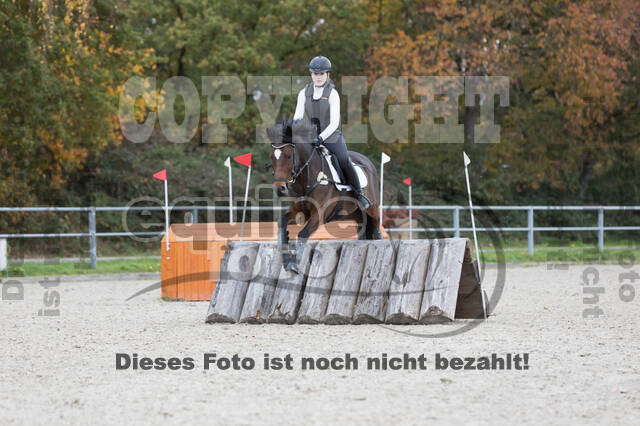 IGV Lehrgang der Sieger der Cups mit Frank Ostholt