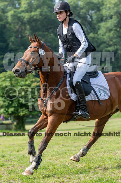 Goldene Schärpe 2021 - Ponys