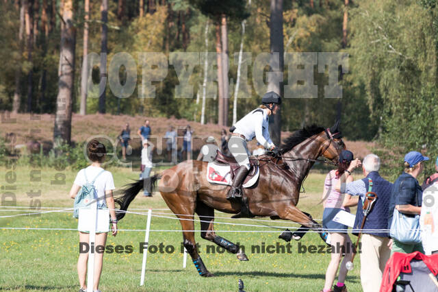 FEI European Championship Eventing 2019