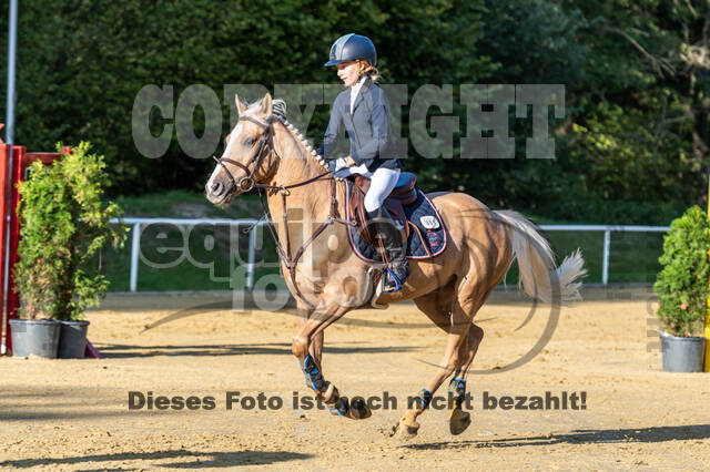 RFV Dinslaken-Hiesfeld (Herbstturnier)