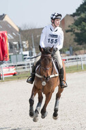 Eventing Langenfeld 2018