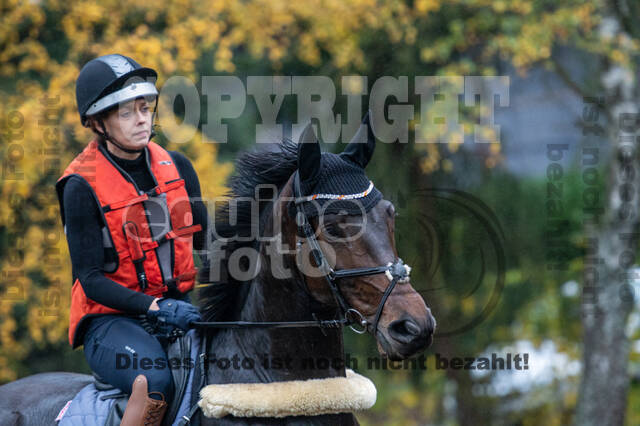 Training Bettina Hoy (01.11.2020)