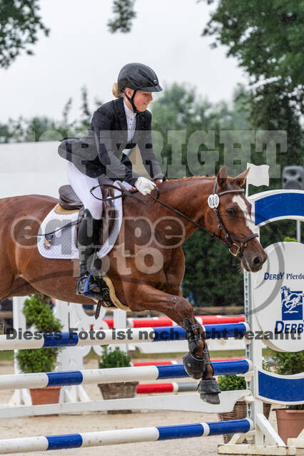 Goldene Schärpe 2021 - Ponys