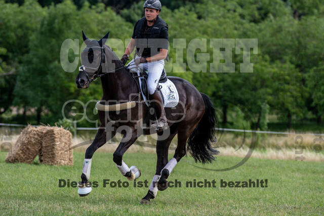 Bonn-Rodderberg Late-Entry-Vielseitigkeit (30.06.2020)
