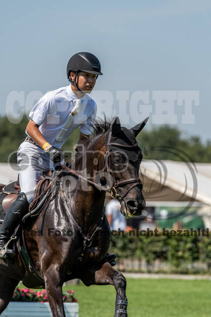 Kronenberg - De Peelbergen (August 2020)