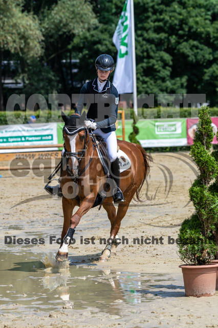 Goldene Schärpe 2021 - Ponys