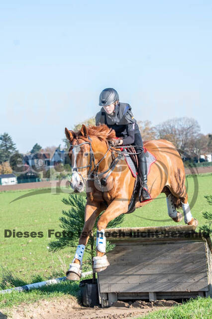 Vielseitigkeitslehrgang mit Jürg Kurbel (9.+10.11.2019)