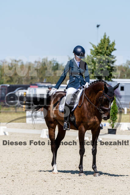 Kronenberg - De Peelbergen (August 2020)