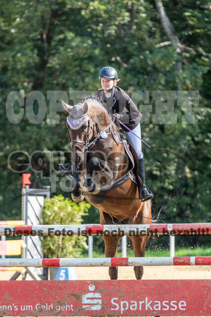 RFV Dinslaken-Hiesfeld (Herbstturnier)