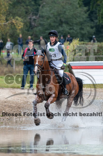 Deutsche Meisterschaft Vielseitigkeit (Luhmühlen)
